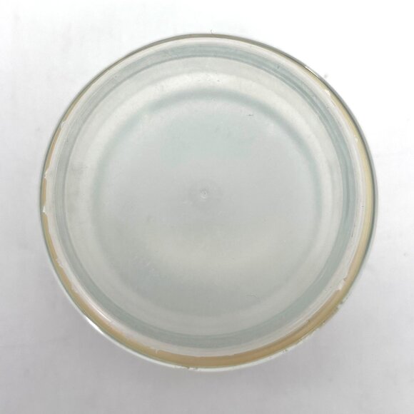 Vintage Peanuts Snoopy & Woodstock Rainbow Glass Goodies Cookie Candy Jar 7" - Picture 10 of 13